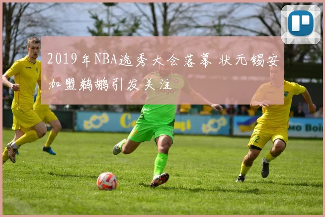 2019年NBA选秀大会落幕 状元锡安加盟鹈鹕引发关注