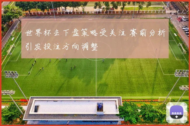 世界杯去下盘策略受关注 赛前分析引发投注方向调整