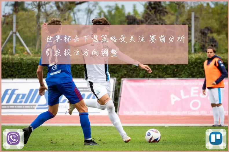 世界杯去下盘策略受关注 赛前分析引发投注方向调整