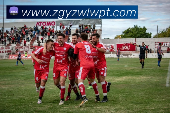 世界杯app平台平台生态图